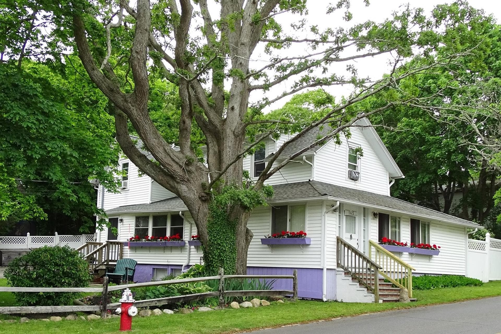 Joy, Historic 5 Bedroom in heart of Oak Bluffs