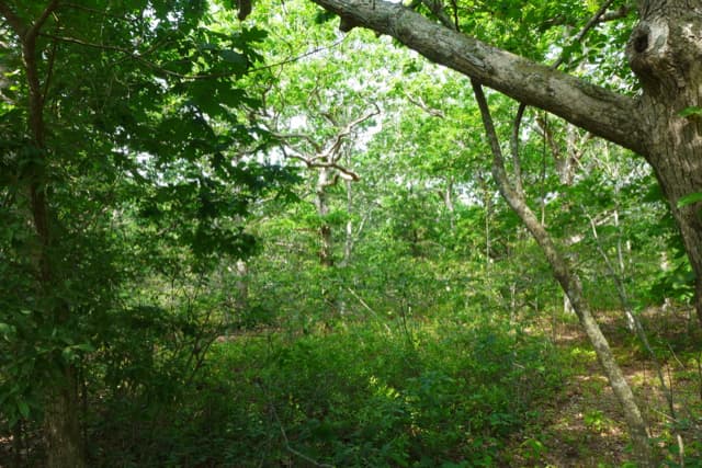 Residential Property Image/jpeg #3