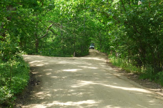 Residential Property Image/jpeg #5