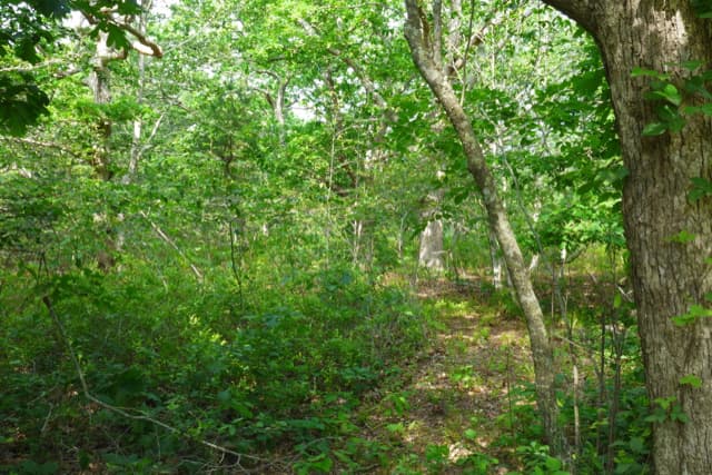 Residential Property Image/jpeg #4